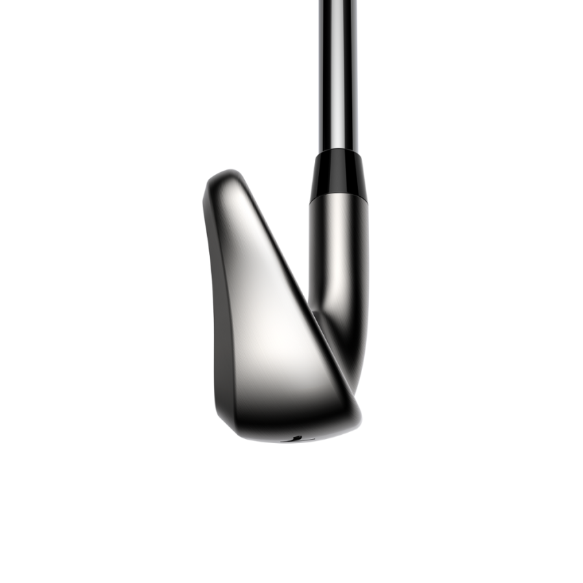 Cobra DS Adapt Steel Irons (Custom) - Image 3