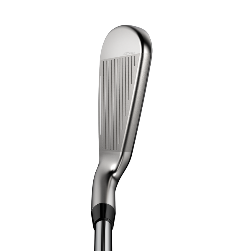 Cobra DS Adapt Steel Irons (Custom) - Image 4