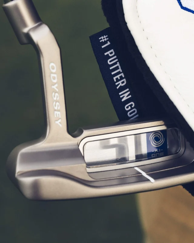 NEW | ODYSSEY 🩶

Ai-ONE Silver and Ai-ONE Milled Silver Putters

📌Available @expressgolf from January 31

#EXPRESSYOURSELF